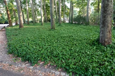Parc Bordelais (6).